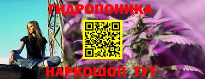 СК Тара