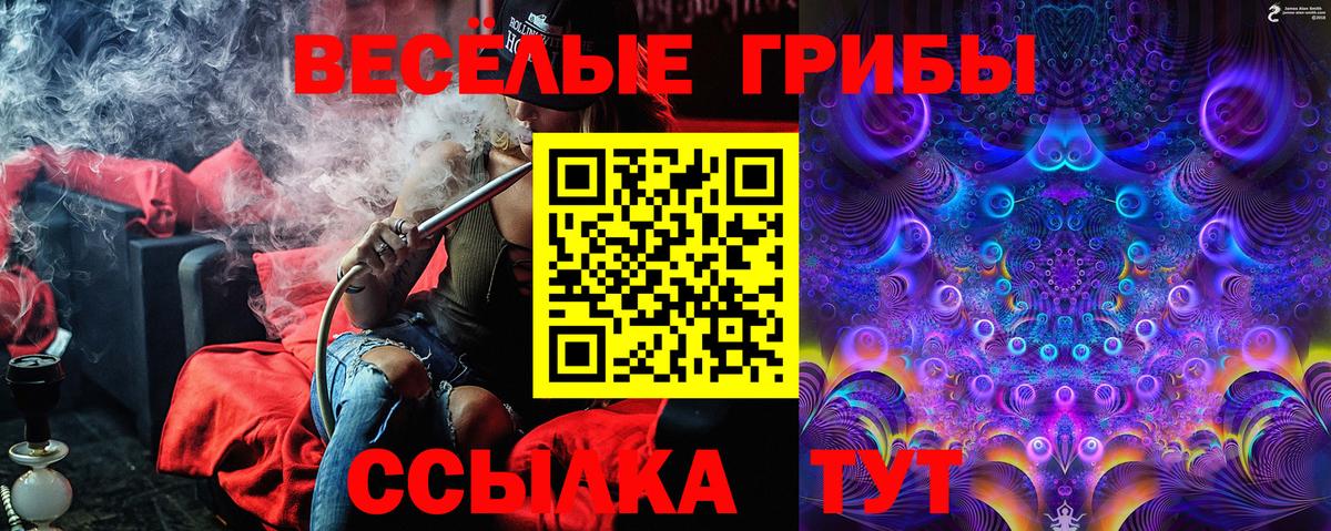 Галлюциногенные грибы Psilocybine cubensis Новосибирск