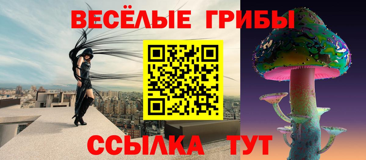 Псилоцибиновые грибы мицелий  Вход с VPN  Галлюциногенные грибы GOLDEN TEACHER  Новосибирск 